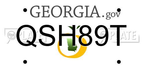 QSH89T Georgia License Plate