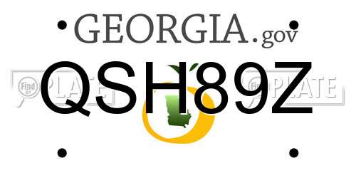 QSH89Z Georgia License Plate