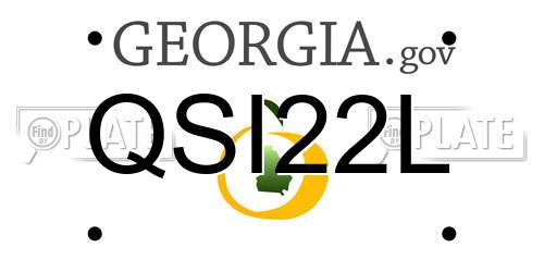 QSI22L Georgia License Plate
