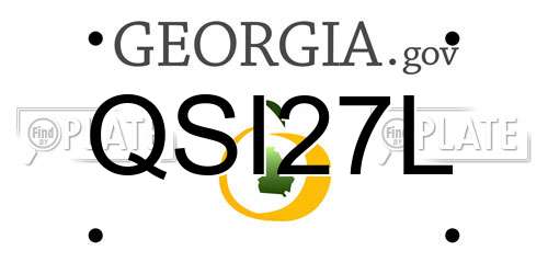 QSI27L Georgia License Plate