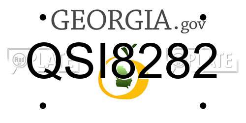 QSI8282 Georgia License Plate