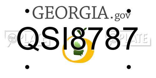 QSI8787 Georgia License Plate