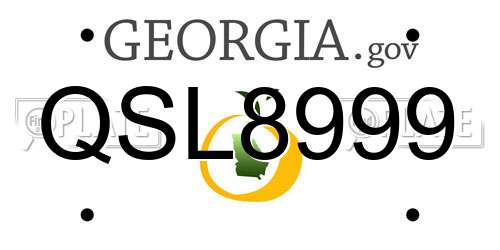 QSL8999 Georgia License Plate