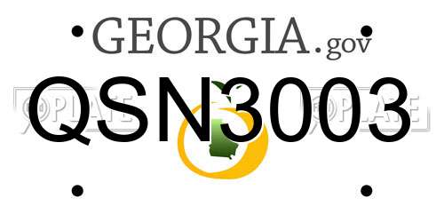 QSN3003 Georgia License Plate