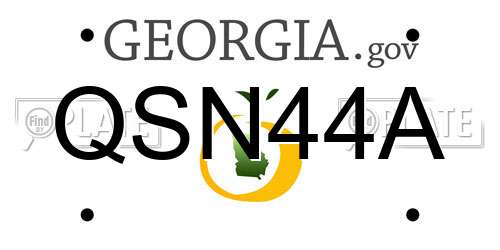 QSN44A Georgia License Plate
