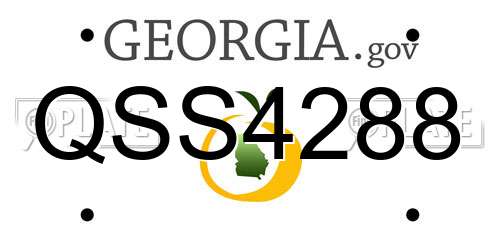 QSS4288 Georgia License Plate