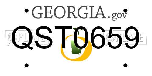 QST0659 Georgia License Plate