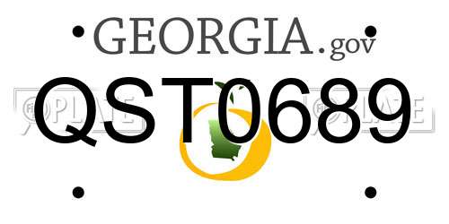 QST0689 Georgia License Plate