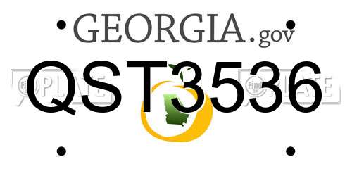 QST3536 Georgia License Plate