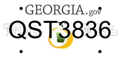 QST3836 Georgia License Plate