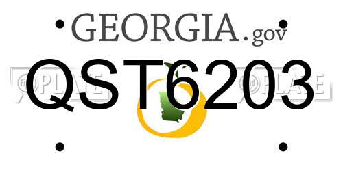 QST6203 Georgia License Plate