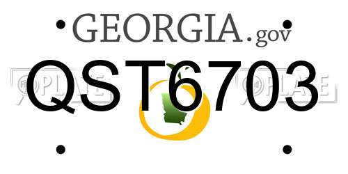 QST6703 Georgia License Plate