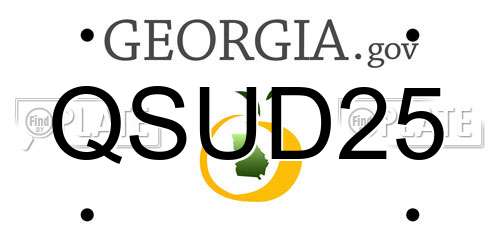 QSUD25 Georgia License Plate