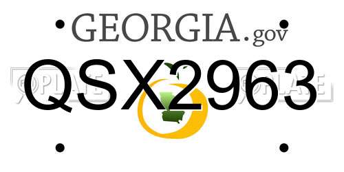 QSX2963 Georgia License Plate