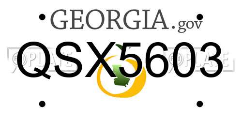 QSX5603 Georgia License Plate
