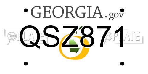 QSZ871 Georgia License Plate
