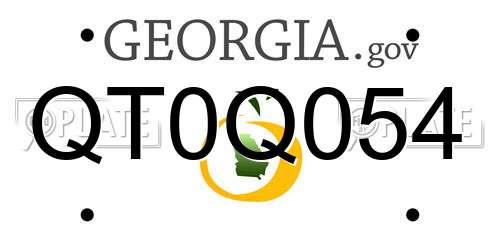 QT0Q054 Georgia License Plate