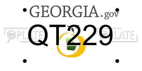 QT229 Georgia License Plate