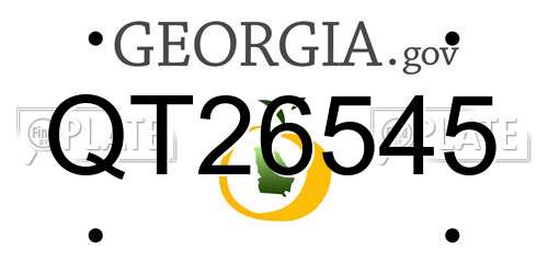 QT26545 Georgia License Plate