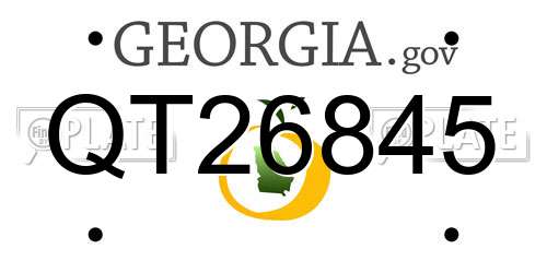 QT26845 Georgia License Plate