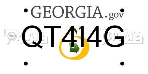 QT4I4G Georgia License Plate