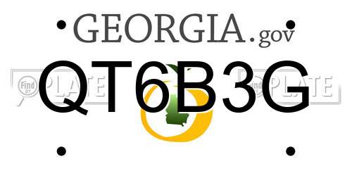 QT6B3G Georgia License Plate