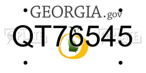 QT76545 Georgia License Plate