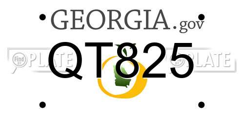 QT825 Georgia License Plate