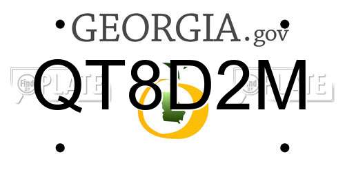 QT8D2M Georgia License Plate