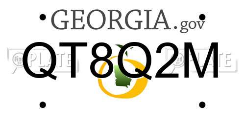 QT8Q2M Georgia License Plate