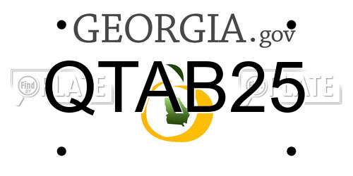 QTAB25 Georgia License Plate