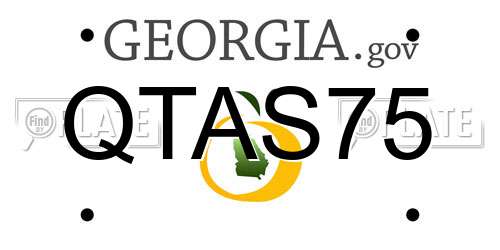QTAS75 Georgia License Plate