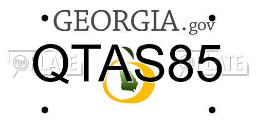 QTAS85 Georgia License Plate