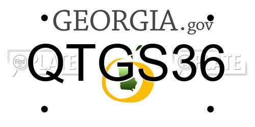 QTGS36 Georgia License Plate
