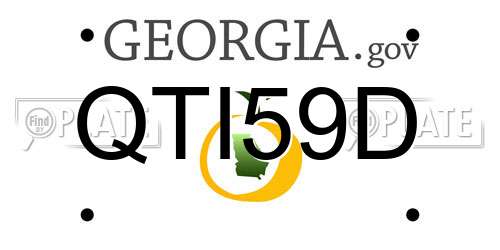 QTI59D Georgia License Plate