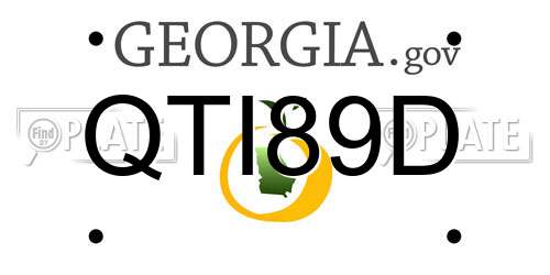 QTI89D Georgia License Plate