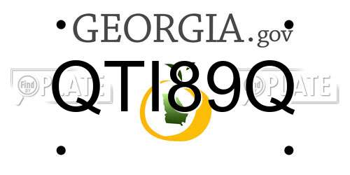 QTI89Q Georgia License Plate