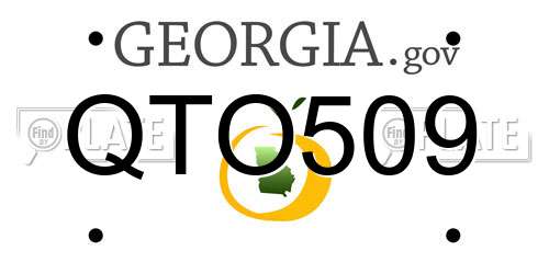 QTO509 Georgia License Plate