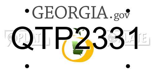 QTP2331 Georgia License Plate