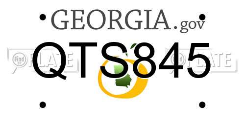 QTS845 Georgia License Plate