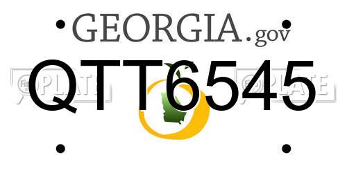 QTT6545 Georgia License Plate