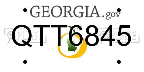 QTT6845 Georgia License Plate