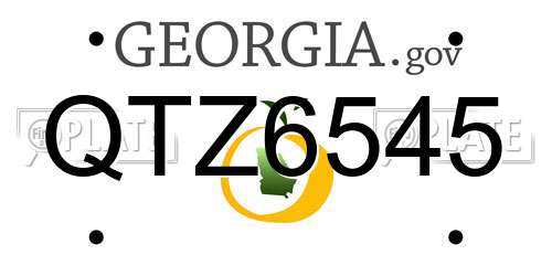 QTZ6545 Georgia License Plate