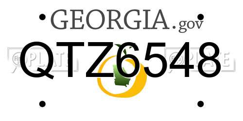 QTZ6548 Georgia License Plate