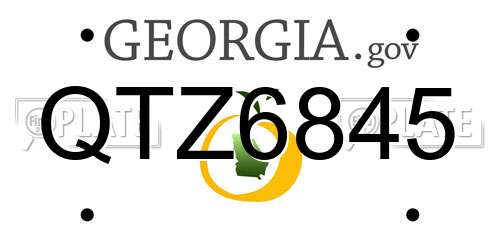 QTZ6845 Georgia License Plate