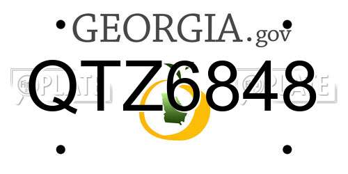 QTZ6848 Georgia License Plate
