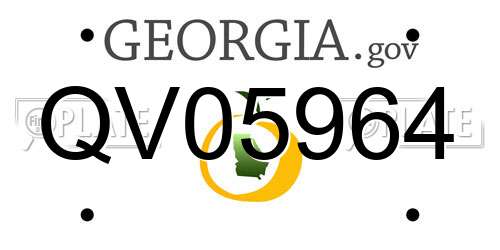 QV05964 Georgia License Plate