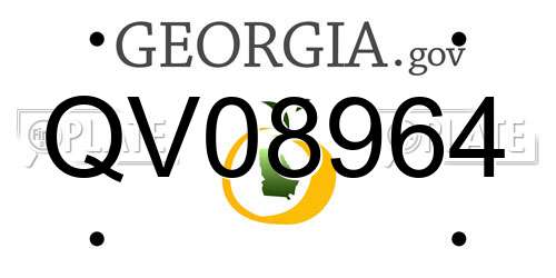 QV08964 Georgia License Plate