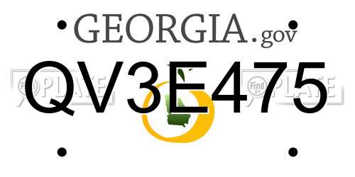 QV3E475 Georgia License Plate