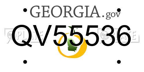 QV55536 Georgia License Plate